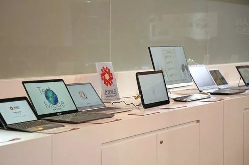 南博會(huì)今日盛大開幕，昭陽參展企業(yè)喜迎“開門紅”，現(xiàn)場簽下首單！附逛展攻略與技術(shù)交流指南